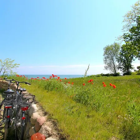 Rex Rugia 30-6 Mit Gratis Sauna- Und Schwimmbadnutzung Im Ahoi Sellin *